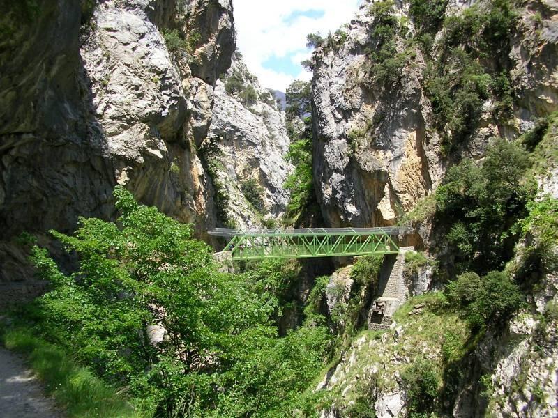 Viviendas De Uso Turistico La Arboleda I Y II Colombres Δωμάτιο φωτογραφία